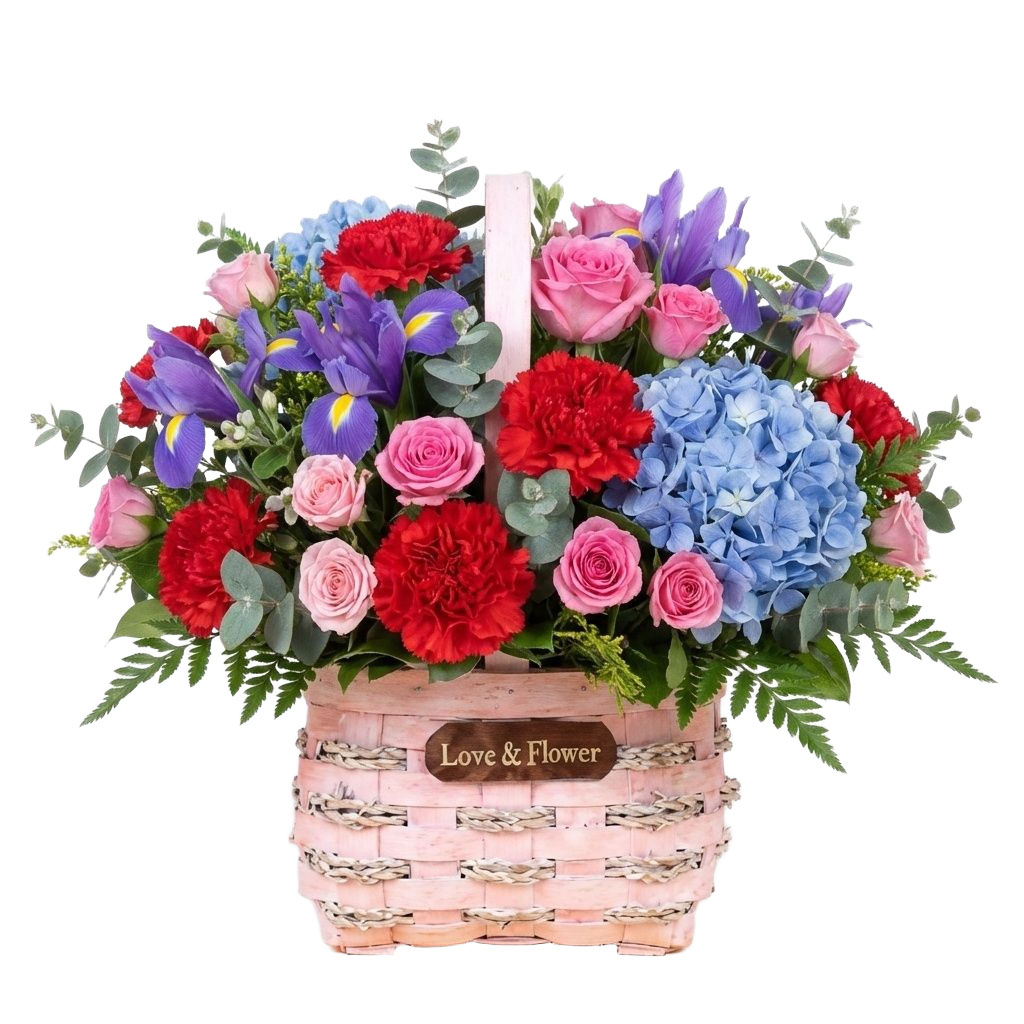 ay3dpg5hg5vzl3f3scmyp